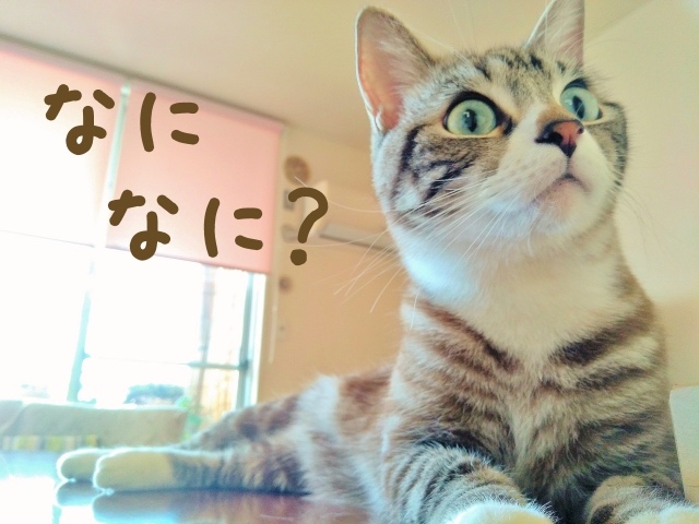 SNSマーケティングって何?